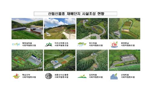 산림신품종 재배단지 활성화 나선다