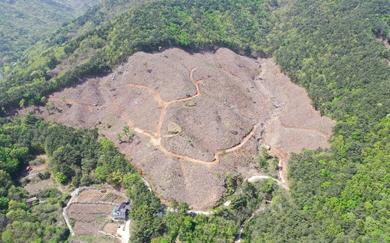 광양 지역주민 상생 숲