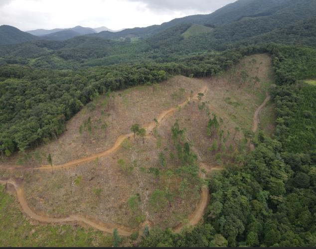 화순 지역주민 상생 숲