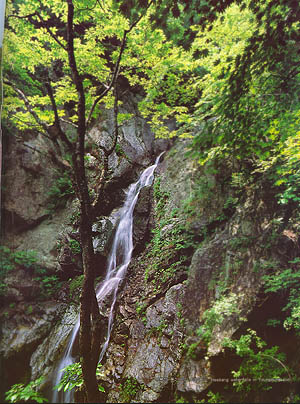 영풍군 풍기읍의 희방폭포(Huibangpokpo(waterfalls) in yeongpung-gun)
