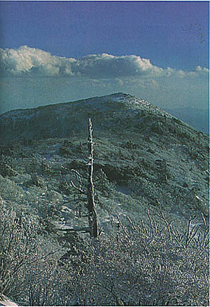 덕유상의 설경-2 ((Mt. )Deogyusan covered with snow)
