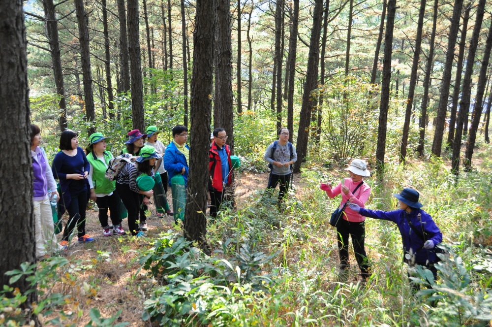 채종원의 제한적 개방을 위한 산림복지 시범 프로그램 운영 이미지1