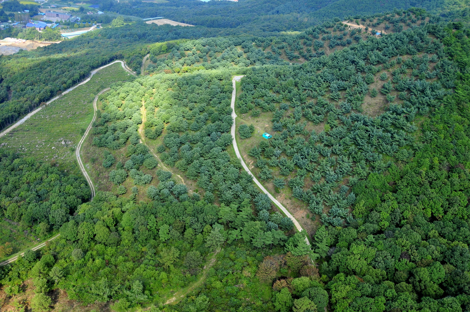 국립산림품종관리센터, ‘「채종원 조성·관리 중·장기 추진계획」수립’ 이미지1