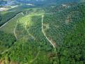 국립산림품종관리센터, ‘「채종원 조성·관리 중·장기 추진계획」수립’