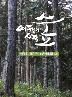 여행의 시작 숲 (여행가기 좋은 우수 산촌생태마을 10선) 표지