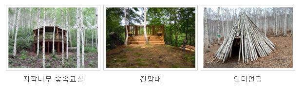 좌측부터 자작나무 숲속교실, 전망대, 인디언집