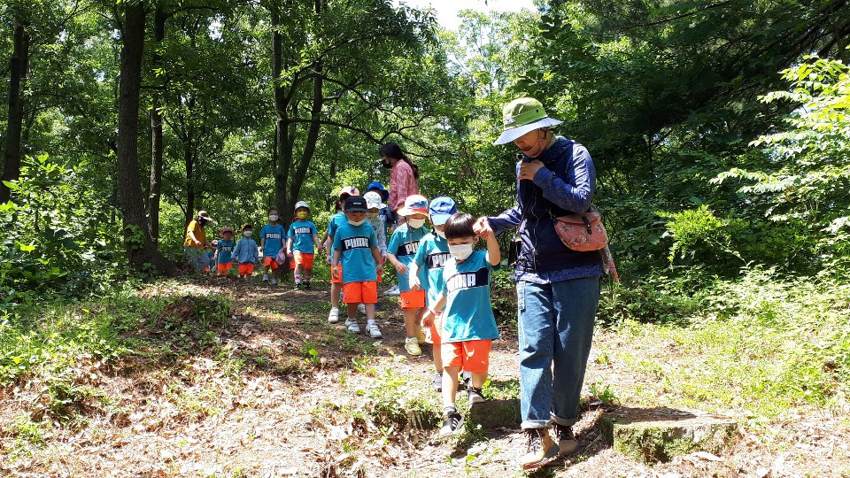 국립산림품종관리센터, 산림교육 프로그램 운영 재개 이미지1