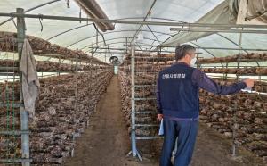 국립산림품종관리센터, 버섯 종균 생산·수입업체 대상 유통조사 실시