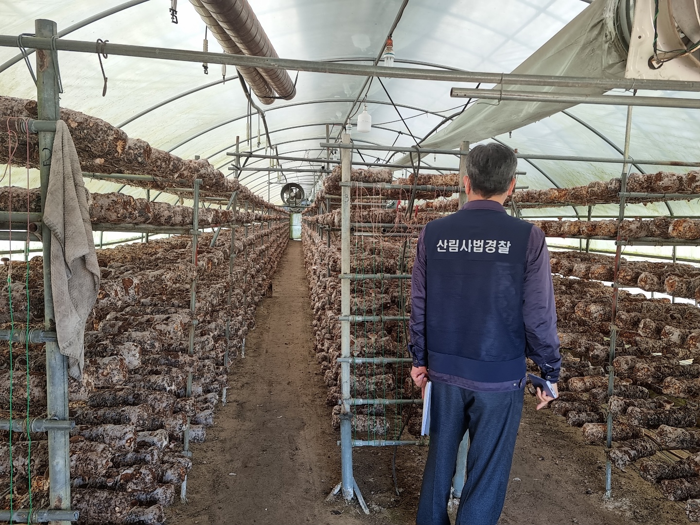 국립산림품종관리센터, 버섯 종균 생산·수입업체 대상 유통조사 실시 이미지2