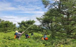 국립산림품종관리센터_코로나 속에서도 내년도 조림용 나무종자 수확 시작!