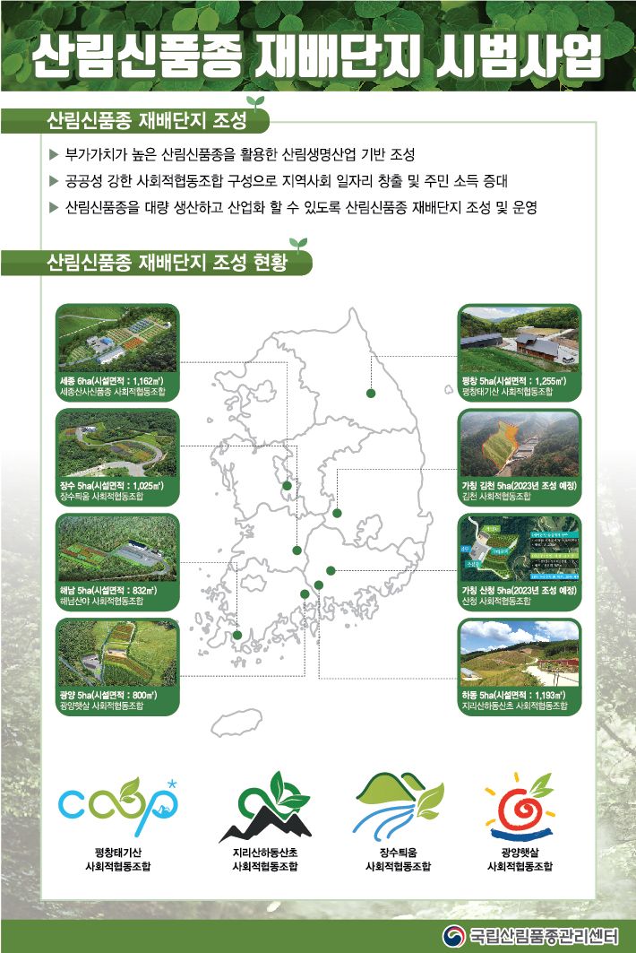 김천·산청 산림신품종 재배단지 사회적협동조합 출범 이미지2