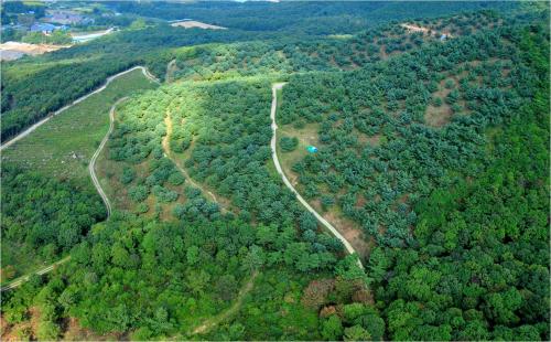 우수한 산림종자 생산 기반 확대