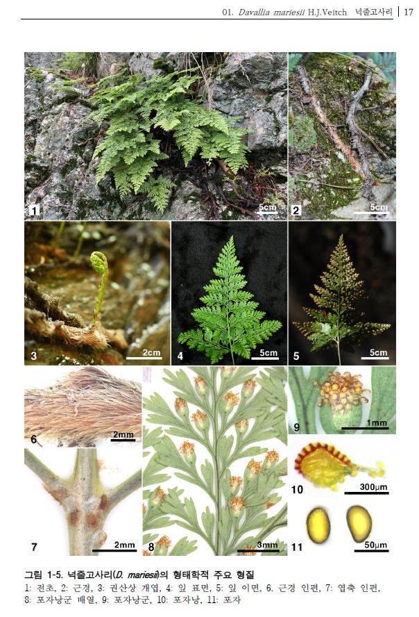 자생식물 산업화의 첫걸음 &#39;한국 산림자원식물 특성 연구(12) 발간&#39; 이미지2