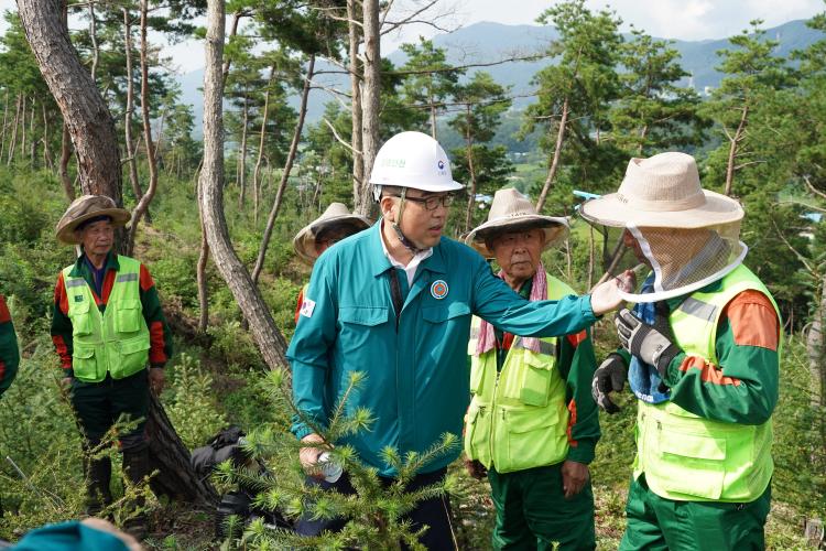 산림청장, 여름철 산림사업장 근로자 안전관리 상황 점검