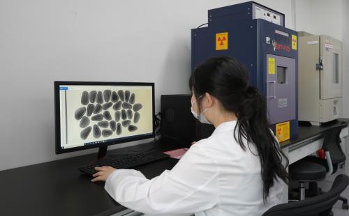 고품질 산림종자 공급으로 기후위기 대응